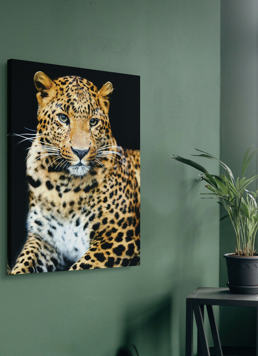 Dieren  - Canvas schilderij op spieraam, in Farbe KLEURRIJK Ansicht 1
