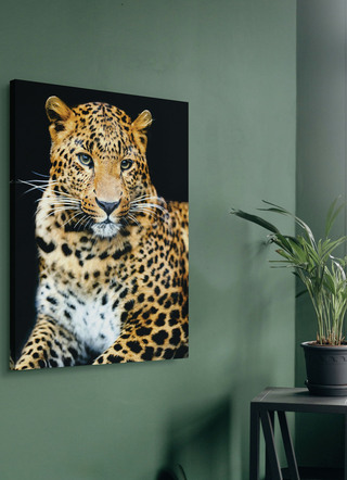 Canvas schilderij op spieraam