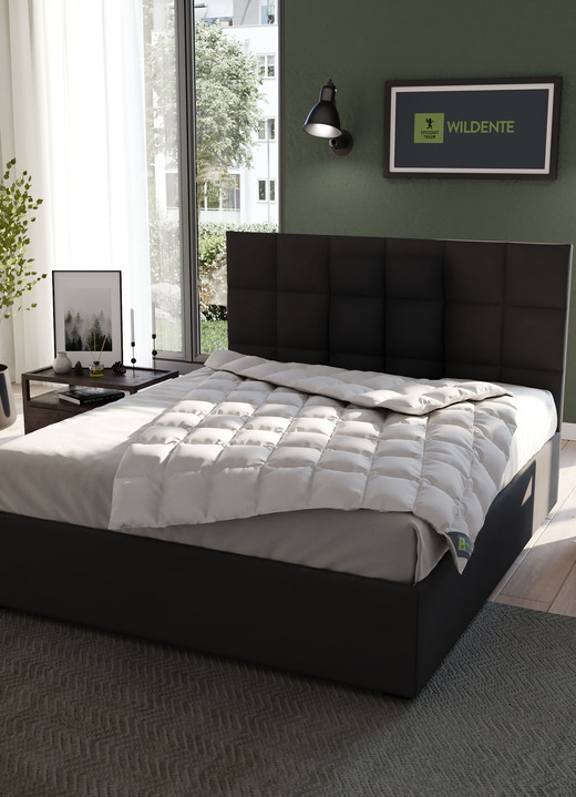 Dekbedden e.d. - Hoogwaardig beddengoedassortiment wilde eendendons van Spessarttraum - de beste kwaliteit voor een goede nachtrust, in Größe 103 (135/200 cm) bis 112 (200/200 cm), in Farbe ZILVER, in Ausführung Extra licht Ansicht 1