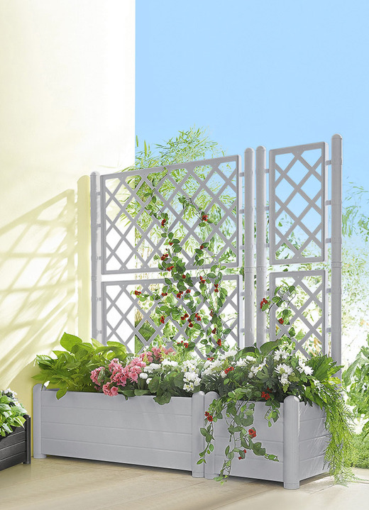 Plantenbakken - PLANTENBAK MET SPALIERWAND, in Farbe STEENGRIJS, in Ausführung Plantenbak klein Ansicht 1