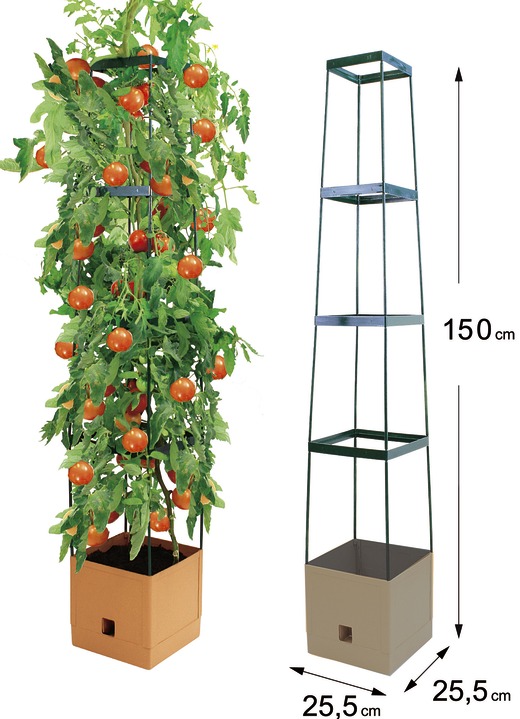 Plantenbakken - MAXITOM tomatenklimrek, complete set, in Farbe TERRA Ansicht 1