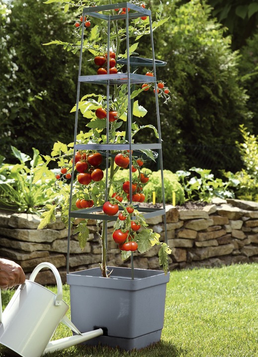 Plantenbakken - MAXITOM tomatenklimrek, complete set, in Farbe ANTRACIET Ansicht 1