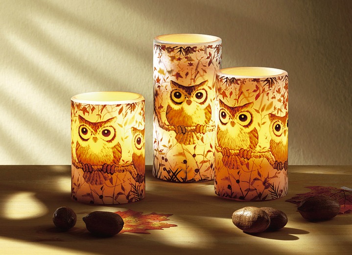 Woonaccessoires - Echte waskaarsen met leds met uilenmotief, set van 3, in Farbe