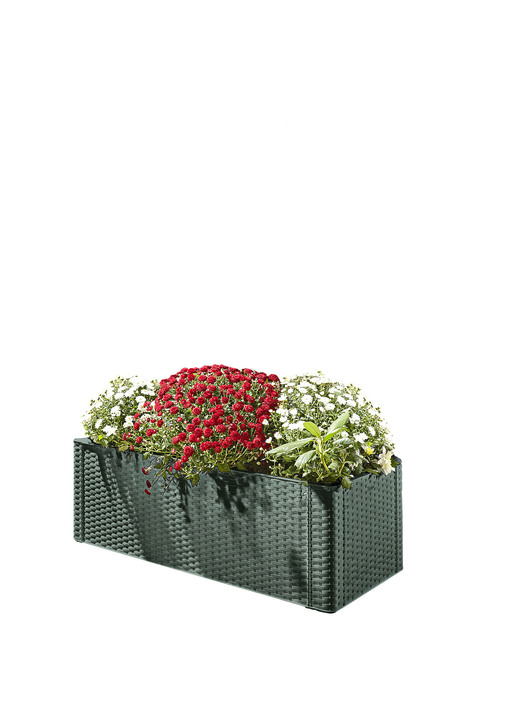 - Plantenbak in rotanlook, in Farbe GROEN, in Ausführung Plantenbak, groot zonder klimrek Ansicht 1