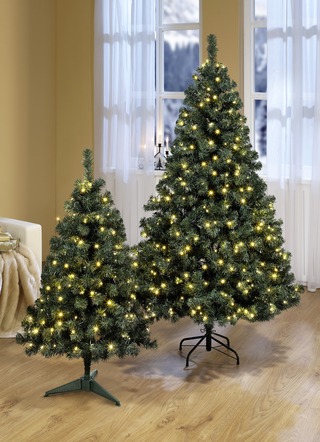 Verlichte dennenboom
