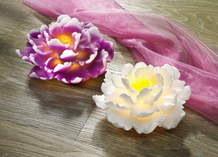 Woonaccessoires - Plastic LED Chrysant, in Farbe PAARS