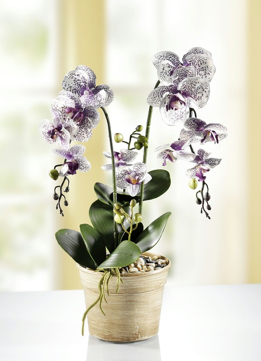 Kunst- & textielplanten - Orchidee in pot, in Farbe