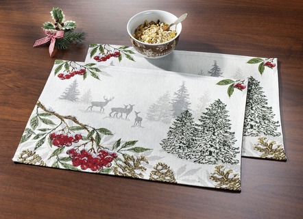 Mooie placemat, 2 stuks