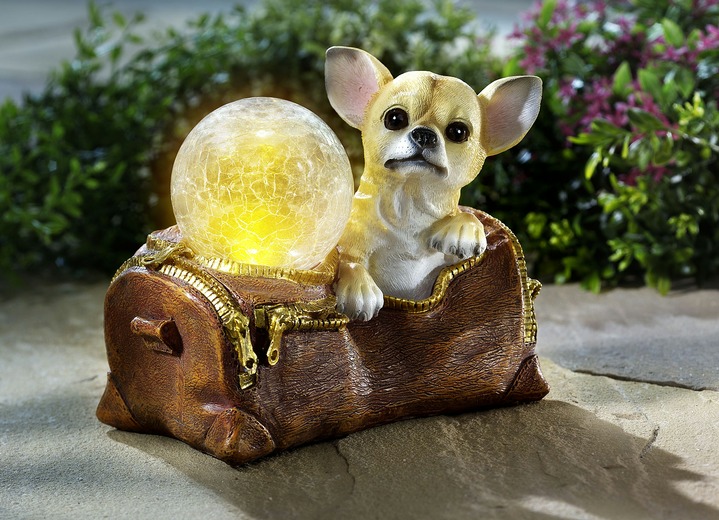 - Lamp op zonne-energie, chihuahua van kunsthars, in Farbe BEIGE