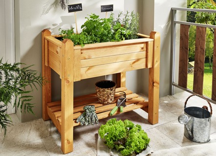 Dennenhouten verhoogd bed