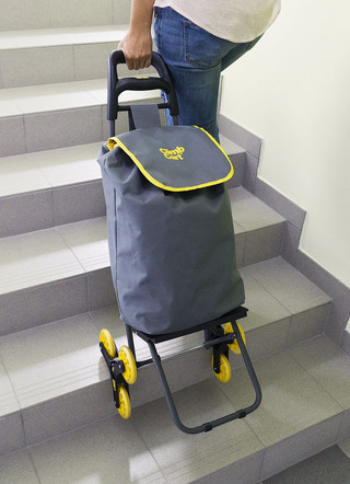 De Climb Cart Shopping Scooter