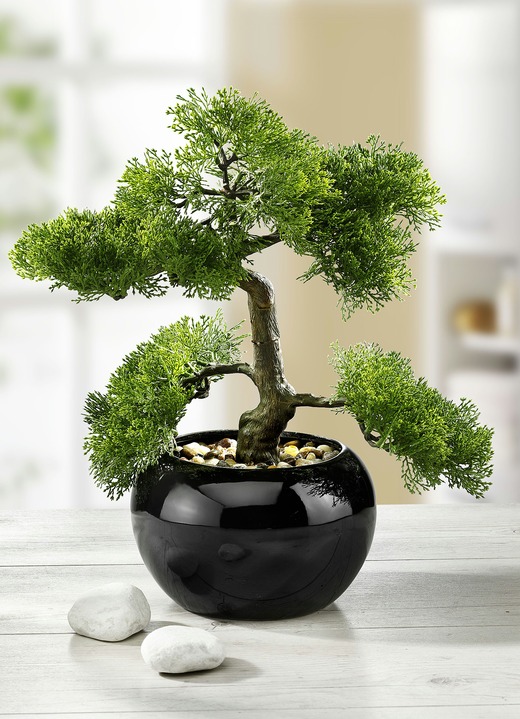 Kunst- & textielplanten - Cipres-bonsai in pot, in Farbe GROEN