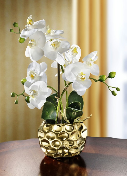 - Orchidee in pot, in Farbe GOUD