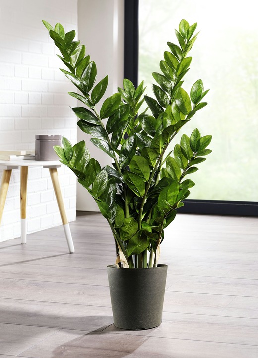 Kunst- & textielplanten - Kamerpalm in pot, in Farbe GROEN