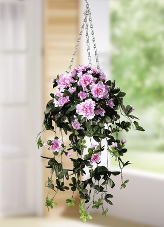 Hangmand met azalea's