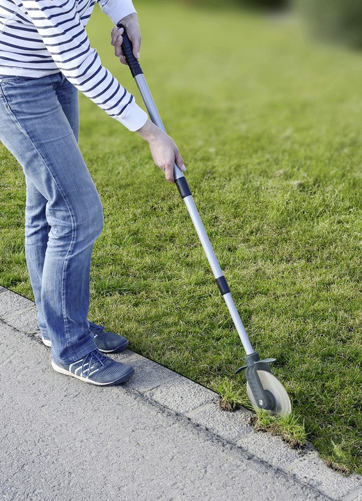 Tuinonderhoud - Gazonafdekkingsrol CUT, in Farbe ZILVER Ansicht 1