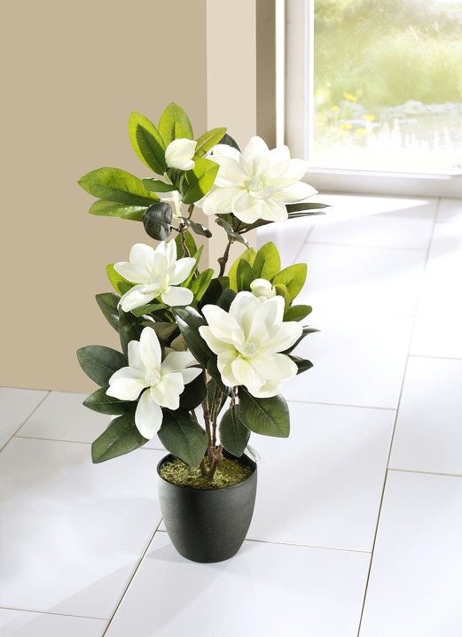 Kunst- & textielplanten - Magnolia‘s in een pot, in Farbe GROEN-WIT