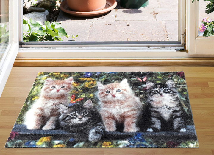 Schoonloopmatten - Voetmat kattenliefhebbers, in Farbe MULTICOLOR Ansicht 1