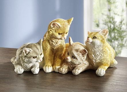 Knuffelige katjes