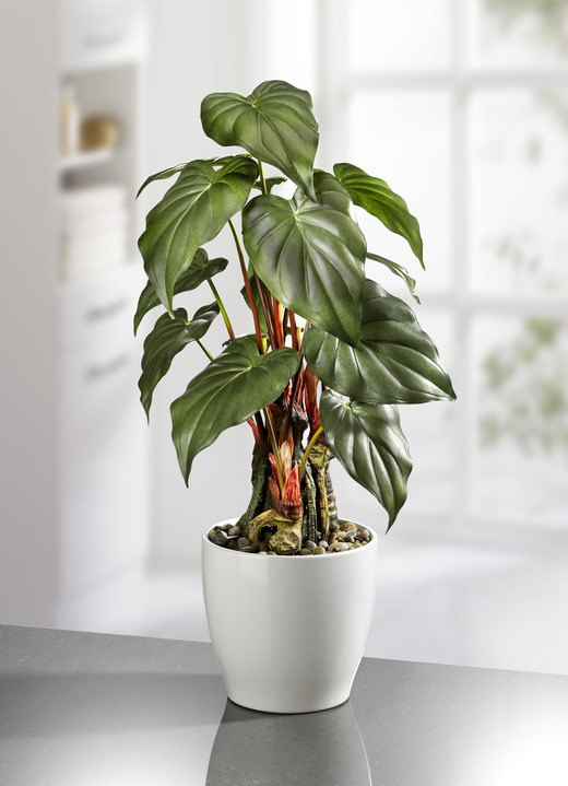 Kunst- & textielplanten - Pijlblad in keramische pot, in Farbe GROEN