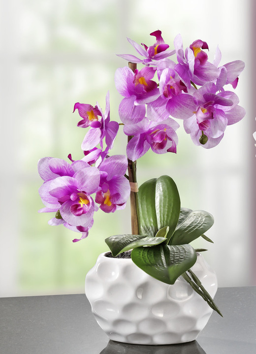 Kunst- & textielplanten - Orchideeënarrangement in keramieken vaas, in Farbe ROZE Ansicht 1