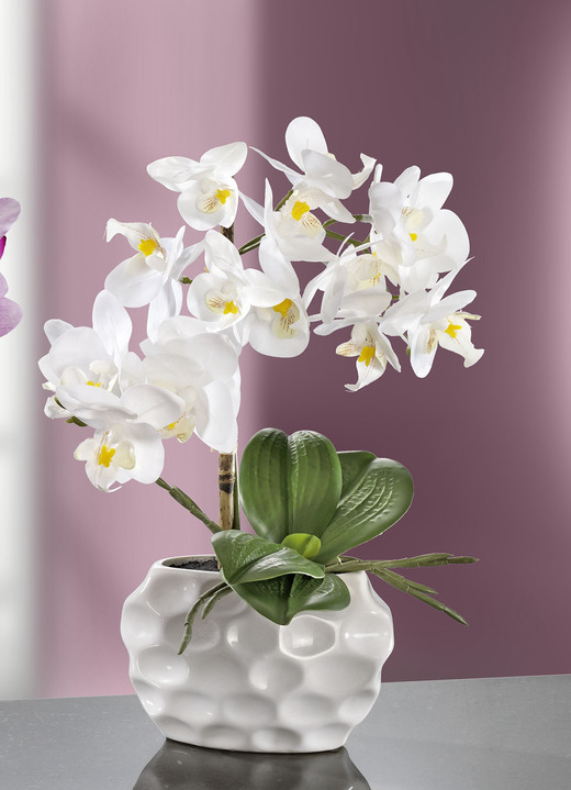 Kunst- & textielplanten - Orchideeënarrangement in keramieken vaas, in Farbe WIT Ansicht 1