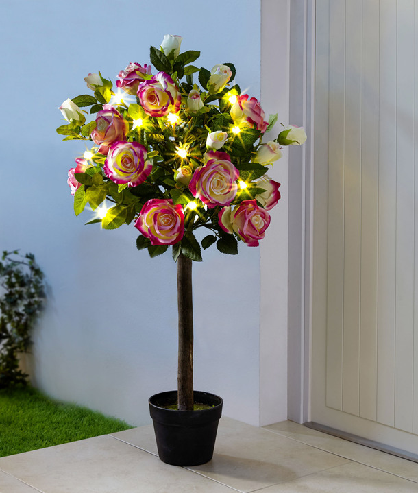 Kunst- & textielplanten - LED rozenstruik, in Farbe BRUIN-GROEN-ROOD Ansicht 1