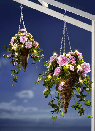 LED Bloem Verkeerslicht Azaleas