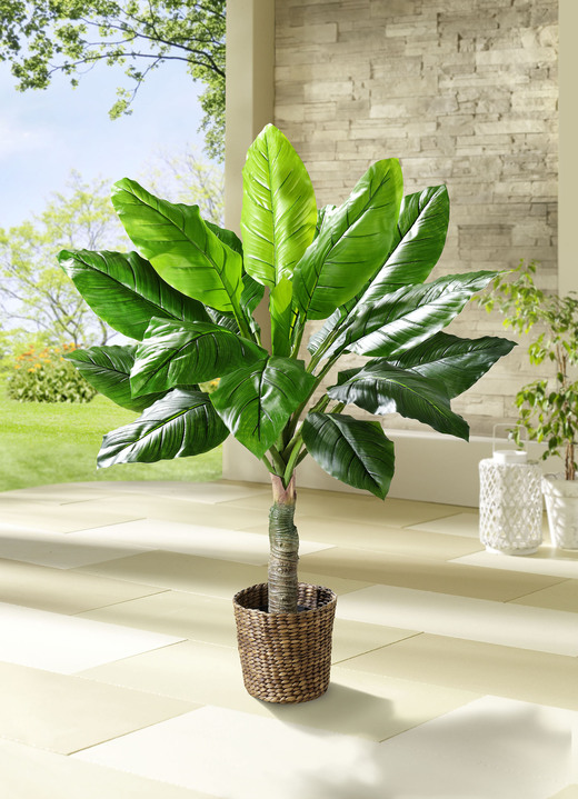 Kunst- & textielplanten - Bananenbladpalm, in Farbe GROENTE