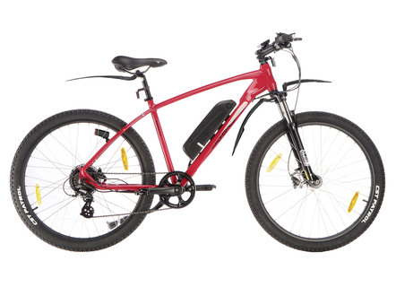 Elektrische mountainbike met krachtige 250 watt achterwielmotor