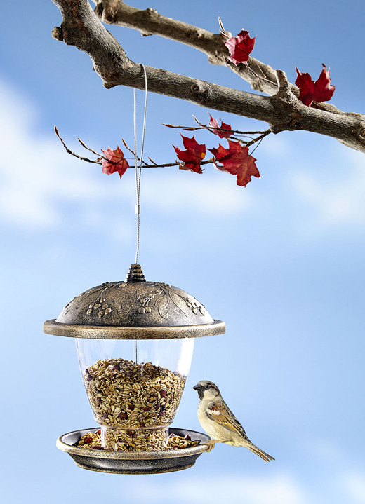 Wintertuin - Vogelvoederhuisje met antieke uitstraling, in Farbe BRUIN
