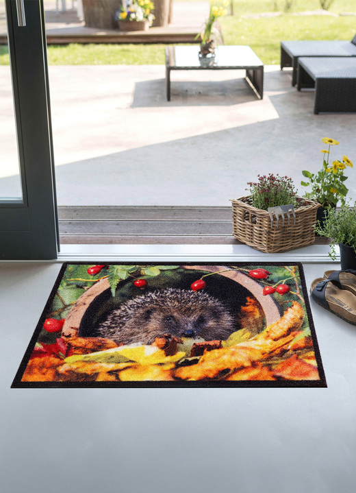 Schoonloopmatten - Deurmat met egelmotief, in Farbe MULTICOLOR Ansicht 1