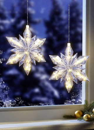 LED poinsettia op batterijen, set van 2
