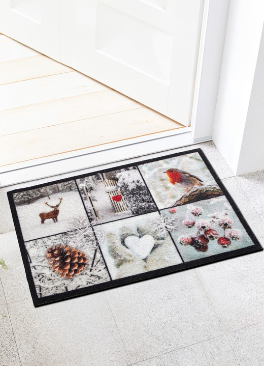 Schoonloopmatten - Deurmat met antislip achterkant, in Farbe MULTICOLOR
