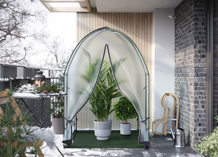Wintertuin - Overwinteringstent Icedome, in Farbe TRANSPARENT Ansicht 1