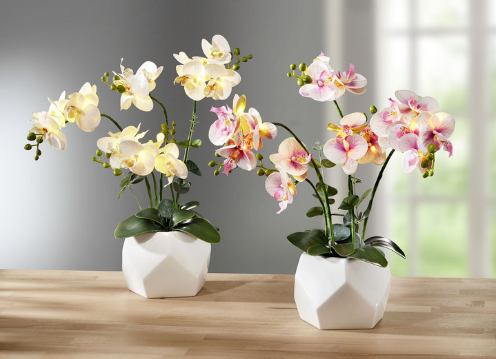 Kunst- & textielplanten - Verlichte orchidee in pot, in Farbe WIT