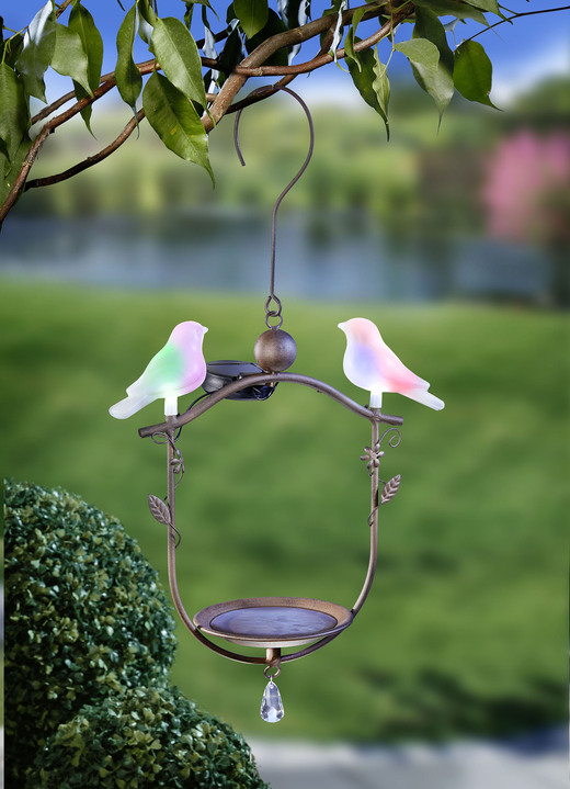Tuindecoraties - Zonnevogelbad, hangend, in Farbe BRUIN