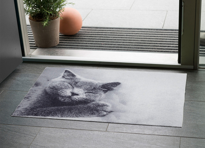 Schoonloopmatten - Deurmat geschikt voor vloerverwarming, in Größe 100 (40 x 60 cm) bis 103 (50 x 70 cm), in Farbe GRIJS Ansicht 1