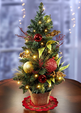 Verlichte dennenboom