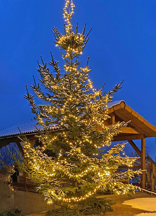 Kerstmis - Clusterlichtketting met 1000 LED's op een kabeltrommel, in Farbe ZWART Ansicht 1