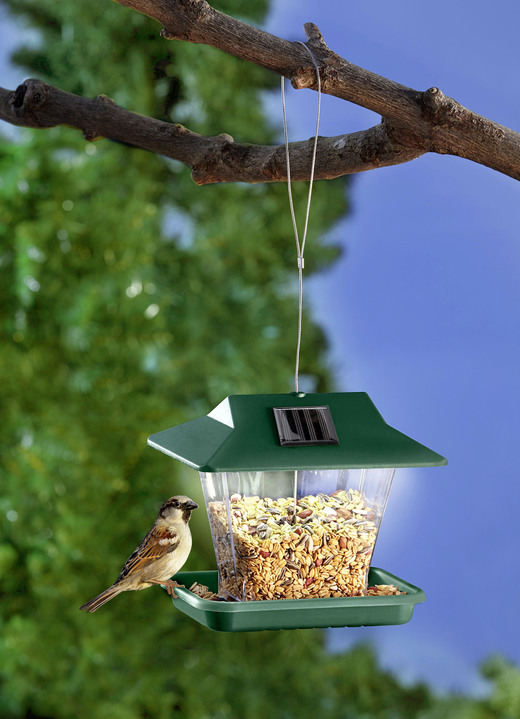 - Restaurant voor zonnevogels, in Farbe GROEN