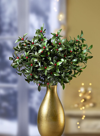 Laurel Bush