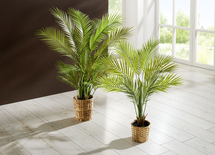 Kunst- & textielplanten - Goudpalm in pot, in Farbe GROEN, in Ausführung klein