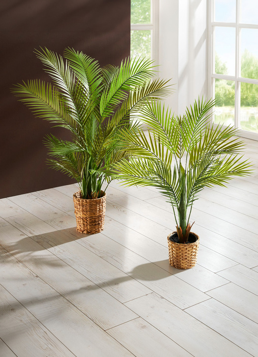 Kunst- & textielplanten - Goudpalm in pot, in Farbe GROEN, in Ausführung Klein