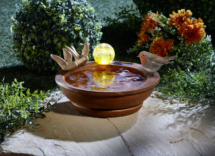 Vogelbad met zonnebal