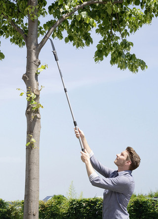 Snoeizaag met telescopische handgreep