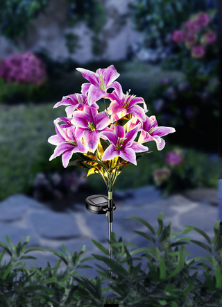 Solar pluglelies met LED's