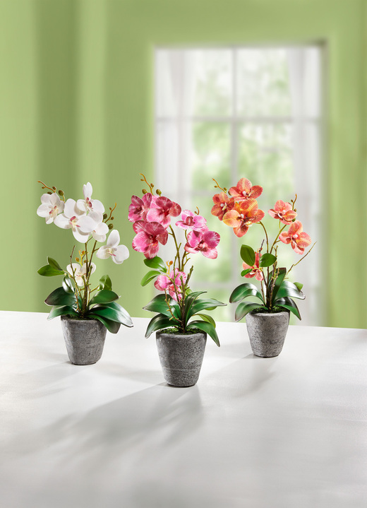 Kunst- & Textilpflanzen - Orchidee im Zementtopf, in Farbe CREME