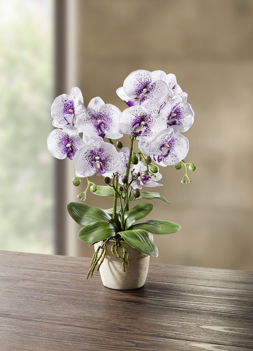 Kunst- & textielplanten - Orchidee in pot, in Farbe WIT-LILA