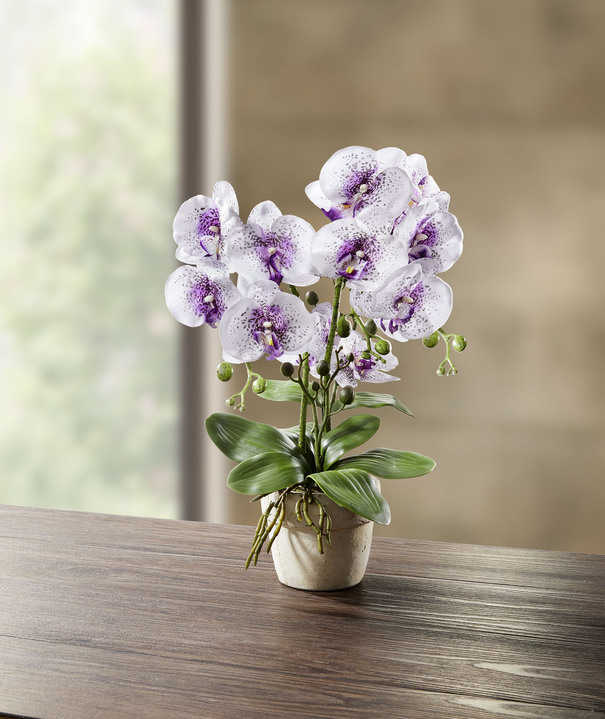 Kunst- & textielplanten - Orchidee in pot, in Farbe WIT-LILA